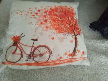Photo of free Cushions (CO15) #4