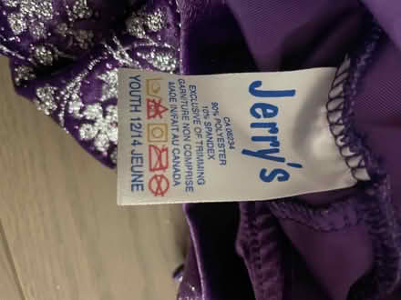 Photo of free Skating skirt (Kennedy/16th in Markham) #2