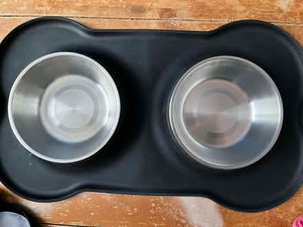 Photo of free Dog/puppy items (Ballynafoy BT6) #2