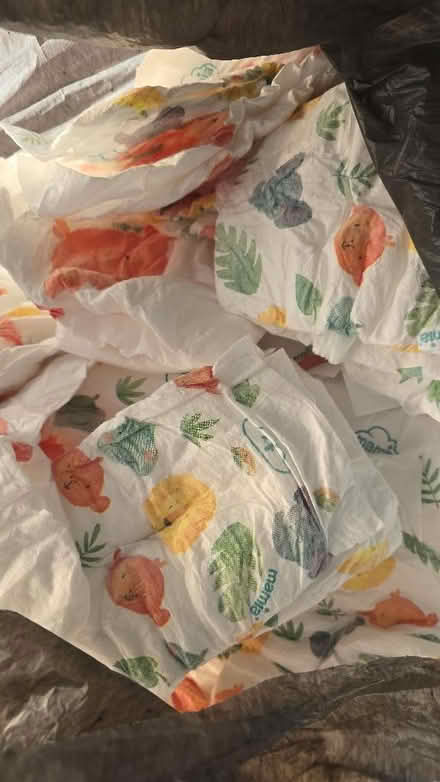 Photo of free Size 4 nappies (Bellingham SE6) #1