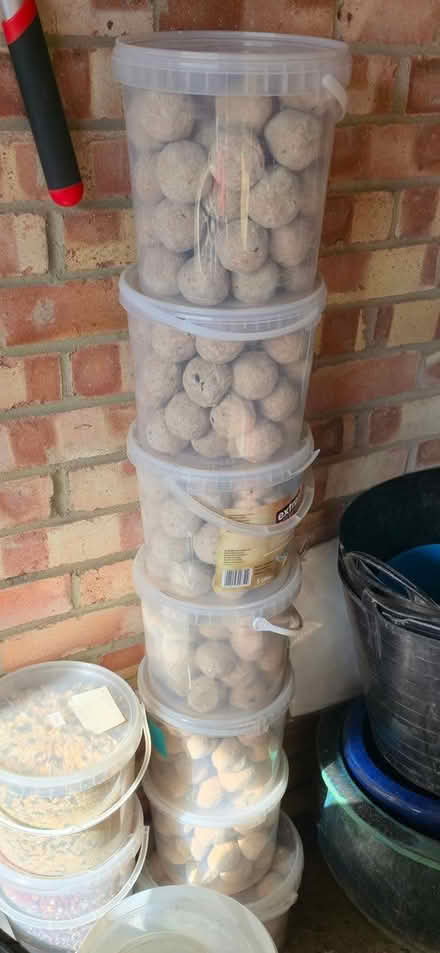 Photo of free fat balls (Ramsey) #1
