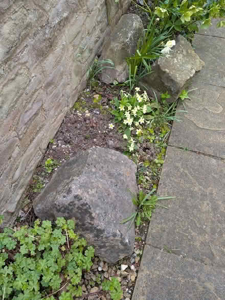Photo of free rocks (Nailsea) #1