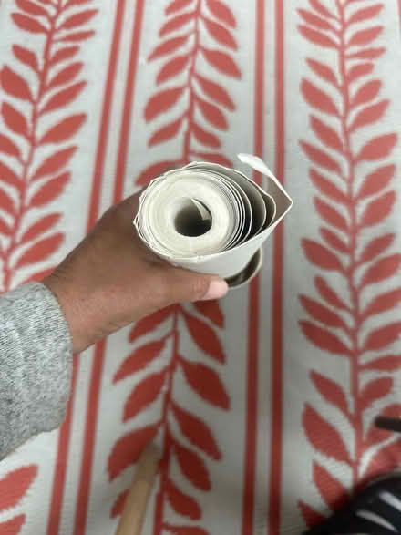 Photo of free Roll of thick paper (Se6 2ha) #1