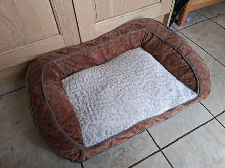 Photo of free dog bed (Hoddesdon EN11) #1