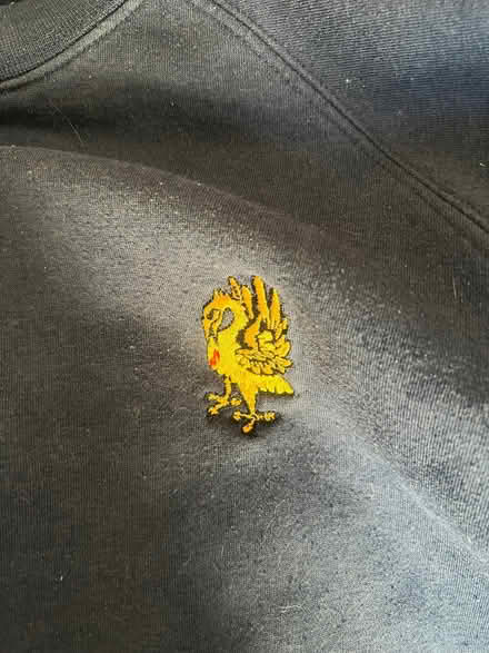 Photo of free Brighton college sweatshirt XL (Aldrington BN3) #3