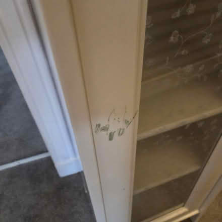 Photo of free Tall boy for upcycling (Kings park G73) #3