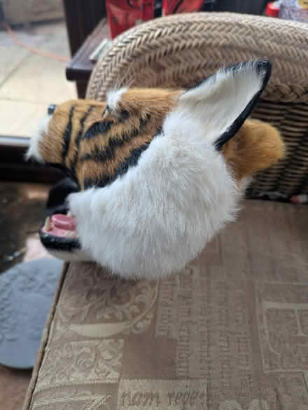 Photo of free Tiger wall ornament (Ridgeway S12) #2