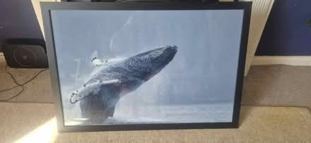 Photo of free Picture Frame (BA12) #1