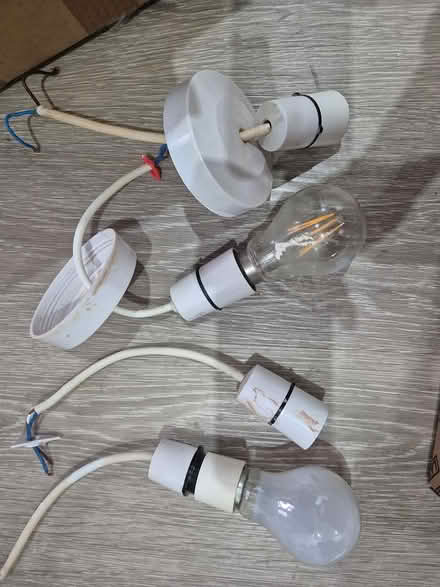 Photo of free Ceiling rose and light pendant (UB5 Northolt) #1