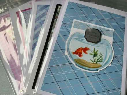 Photo of free Birthday & Greetings Cards (Bramford IP8) #3