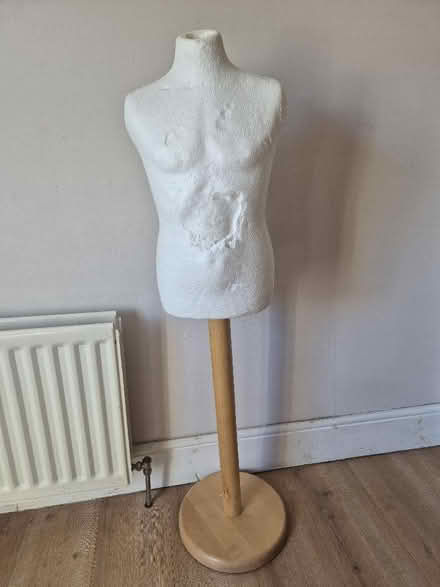 Photo of free Child mannequin for dressmaking (BT8) #1