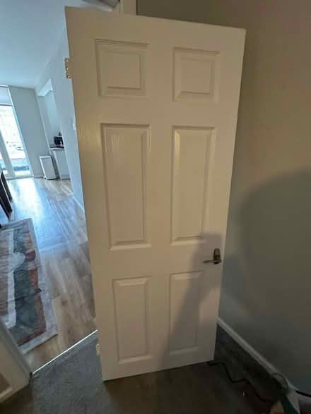 Photo of free 1 x painted internal door (Shirley Solihull B90) #1