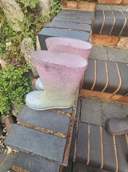 Photo of free Next Glitter Wellies (Hall green B28) #1