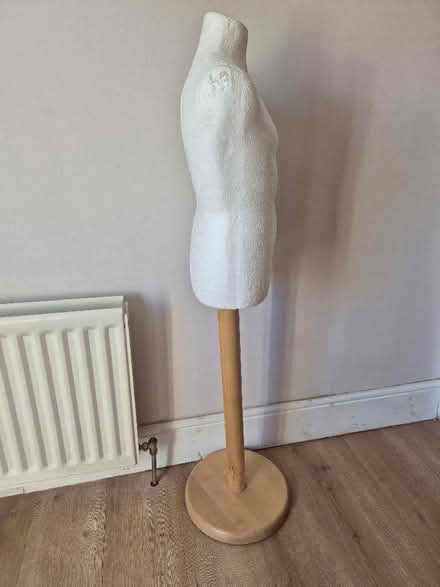Photo of free Child mannequin for dressmaking (BT8) #2