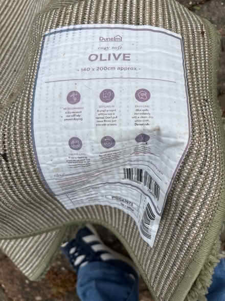 Photo of free Green rug 200cm by 140 cm approx (Shippon OX14) #1