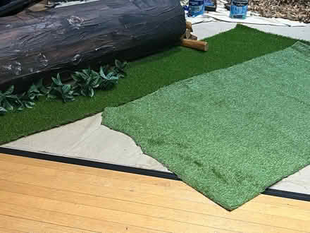 Photo of Fake grass (Upton CH2) #1