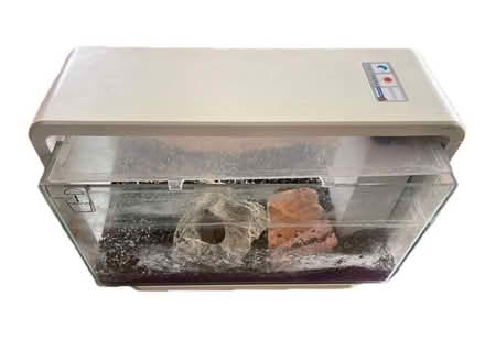 Photo of free Aquarium (Carshalton) #3