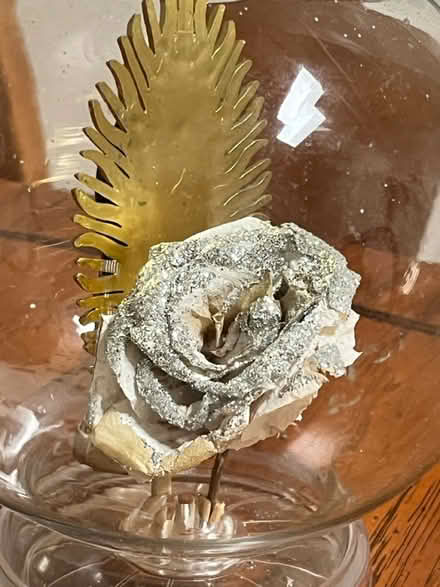 Photo of free Our Lady of Guadalupe Snow Globe (Wolfe & Reed) #3