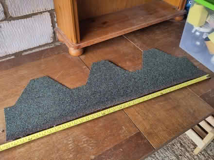 Photo of free Hexagonal green roof shingles (St Ives PE27) #1