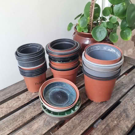 Photo of free Flowerpots (Hertford SG13) #1
