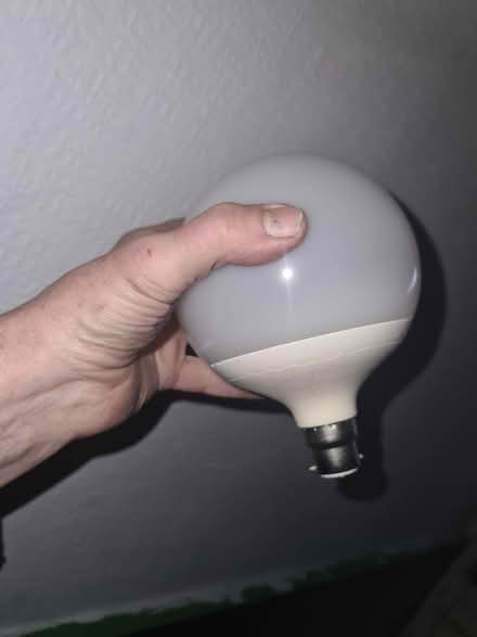 Photo of free Fluores't, LED, halogen, hot bulbs (Dalston E8) #4
