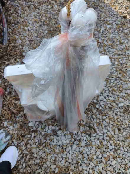 Photo of free High chair (TW2 twickenham) #2