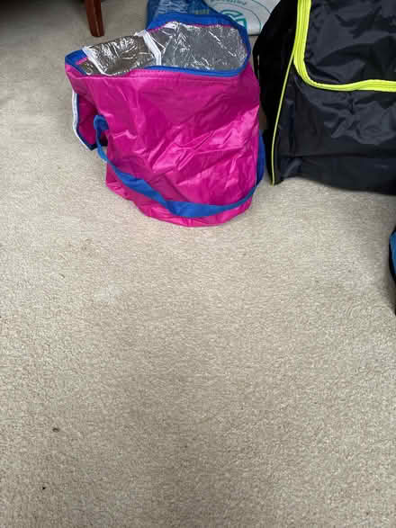 Photo of free Insulated picnic /shopping bags (Crowborough Warren TN6) #2