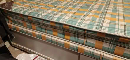 Photo of free Single Bed (Colchester CO4) #3