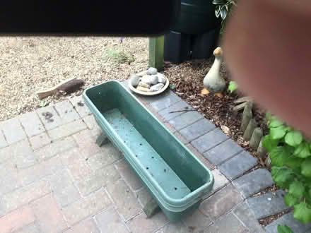 Photo of free Plastic garden trough platers (Sutton Courtenay OX14) #1