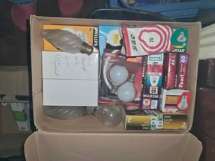 Photo of free Fluores't, LED, halogen, hot bulbs (Dalston E8) #4