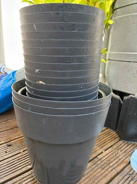 Photo of free Plant pots (E11) #1