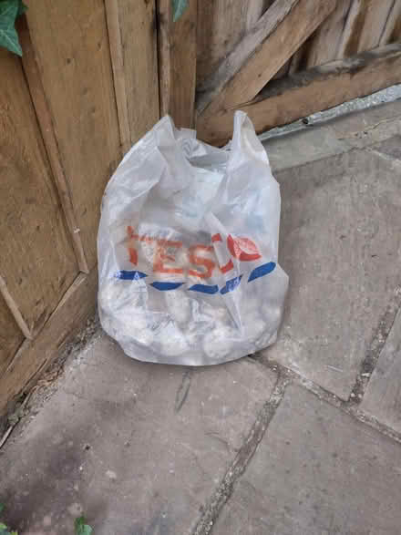 Photo of free Stones for garden (Cambridge, CB5) #3