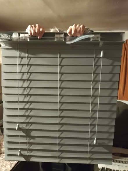 Photo of free Venetian blind (Bishop's Castle SY9) #1