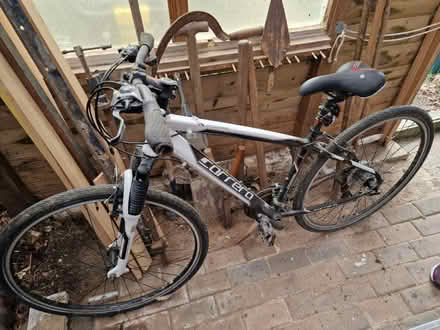 Photo of free Mens bike (Burghfield RG7) #1