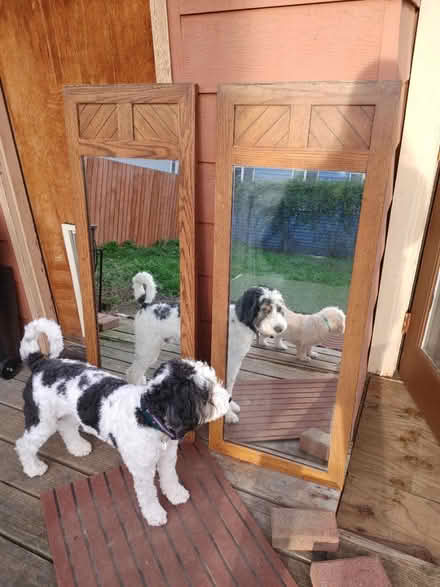 Photo of free Mirror wood (West seattle admiral) #2