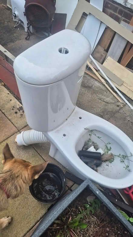 Photo of free Bathroom suite (Derby Chaddesden DE21) #3