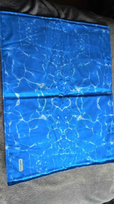Photo of free Dog cooling mat (Horsham, near Bennetts Field) #1