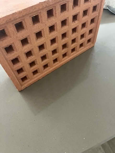 Photo of free Sir Rick, approx 21 x 14 (Barnard's Green WR14) #1