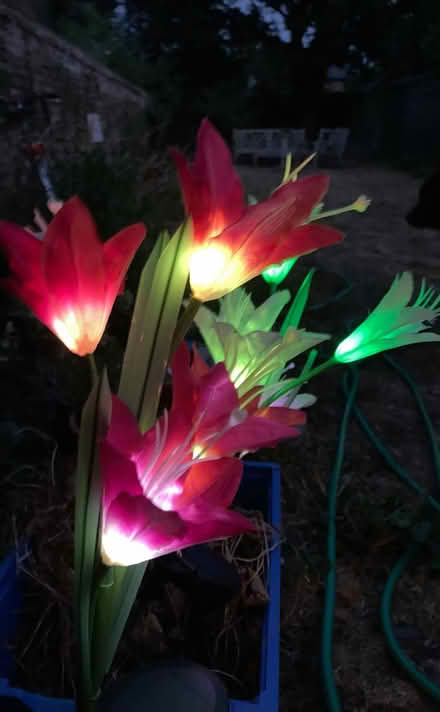 Photo of free Solar powered artificial flower lights (Walton Manor OX2) #4