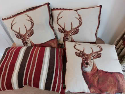 Photo of free Cushions (Carnforth LA5) #1