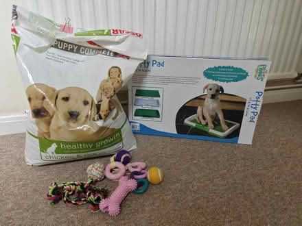 Photo of free Puppy Bundle (North Waltham RG25) #1