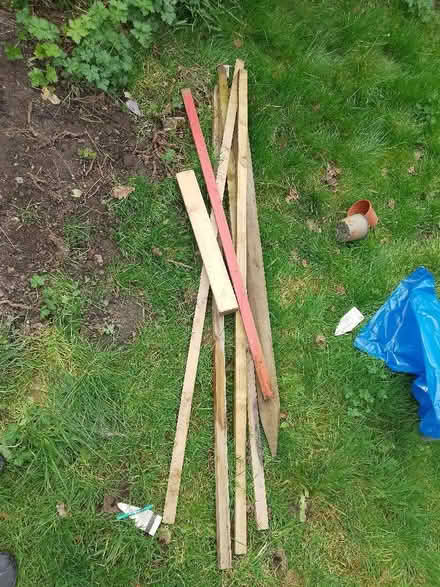 Photo of free Assorted wood (Wadsley S6) #1