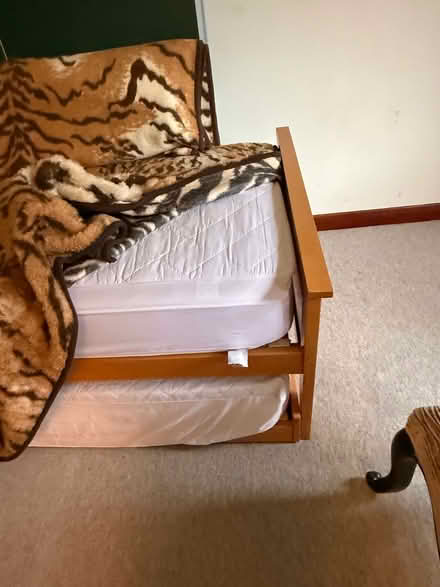 Photo of free Single trundle bed (KT22 oxshott) #1