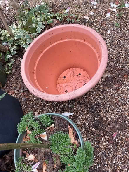 Photo of free Huge plastic garden plant pot (Garston WD25) #2