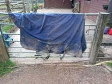 Photo of free Horse rug/sheet 6ft 3in (Battle TN33) #1