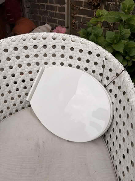 Photo of free New toilet seat (Windsor SL4) #1