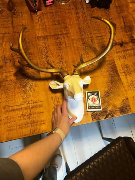 Photo of free Plastic ornamental deer head (Queens Park) #1