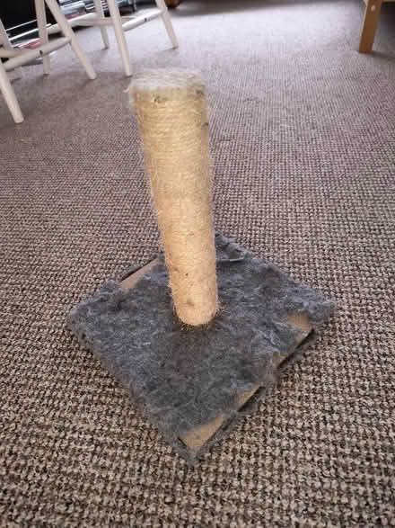 Photo of free Cat scratch post (Bridlington YO16) #1