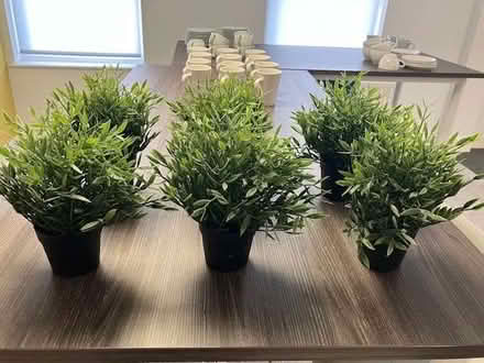 Photo of free Small fake plant (Ladywood B1) #1