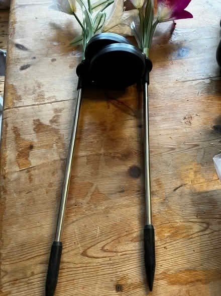 Photo of free Solar powered artificial flower lights (Walton Manor OX2) #3